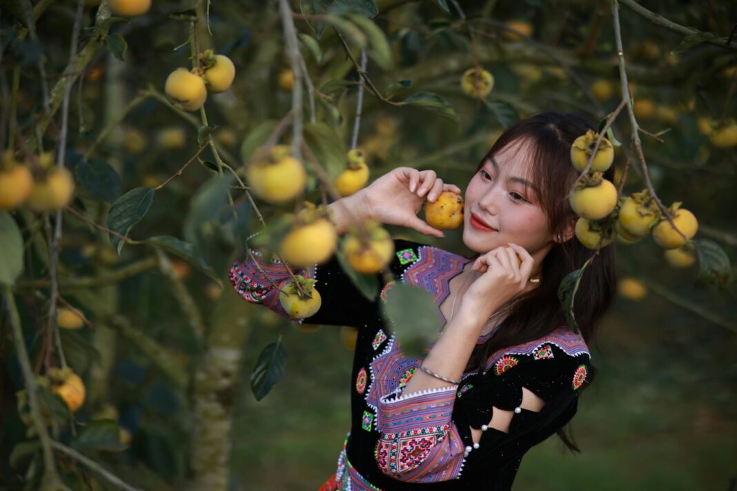 Λωτός:Οφέλη του Λωτού για τη Βελτίωση της Όρασης