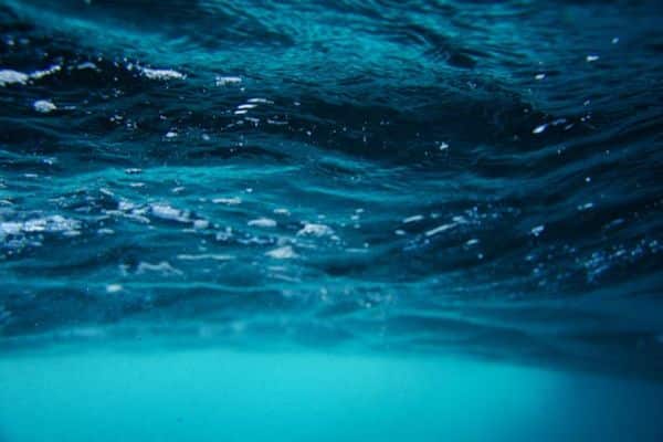 thalassa 1