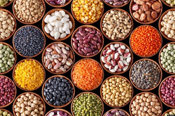 LEGUMES OSPRIA 1024x683 1 e1620803673765 1
