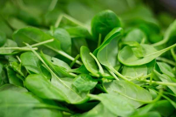 spinach 2216967 640 e1678038647202 1