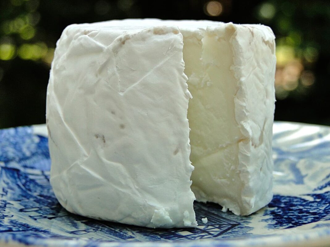 Goat Cheese:Γιατί το Κατσικίσιο Τυρί Είναι το Πιο Υγιεινό Τυρί;