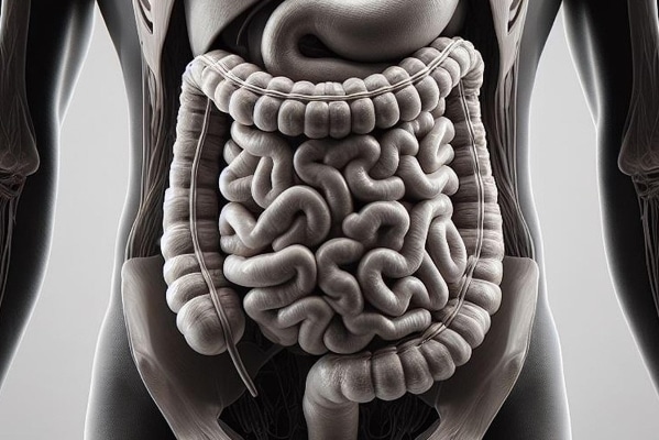 Ενυδάτωση και Ισορροπημένη Διατροφή