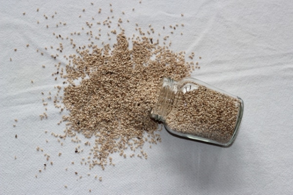 sesame