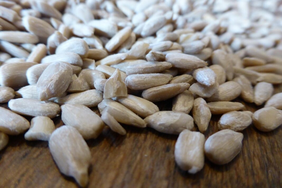 Ηλιόσποροι :Ένα φυσικό σνακ που μπορεί να ενισχύσει την πεπτική υγεία.