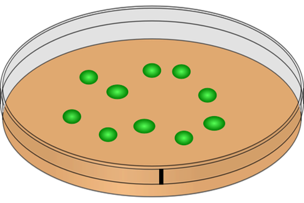 epistimi92