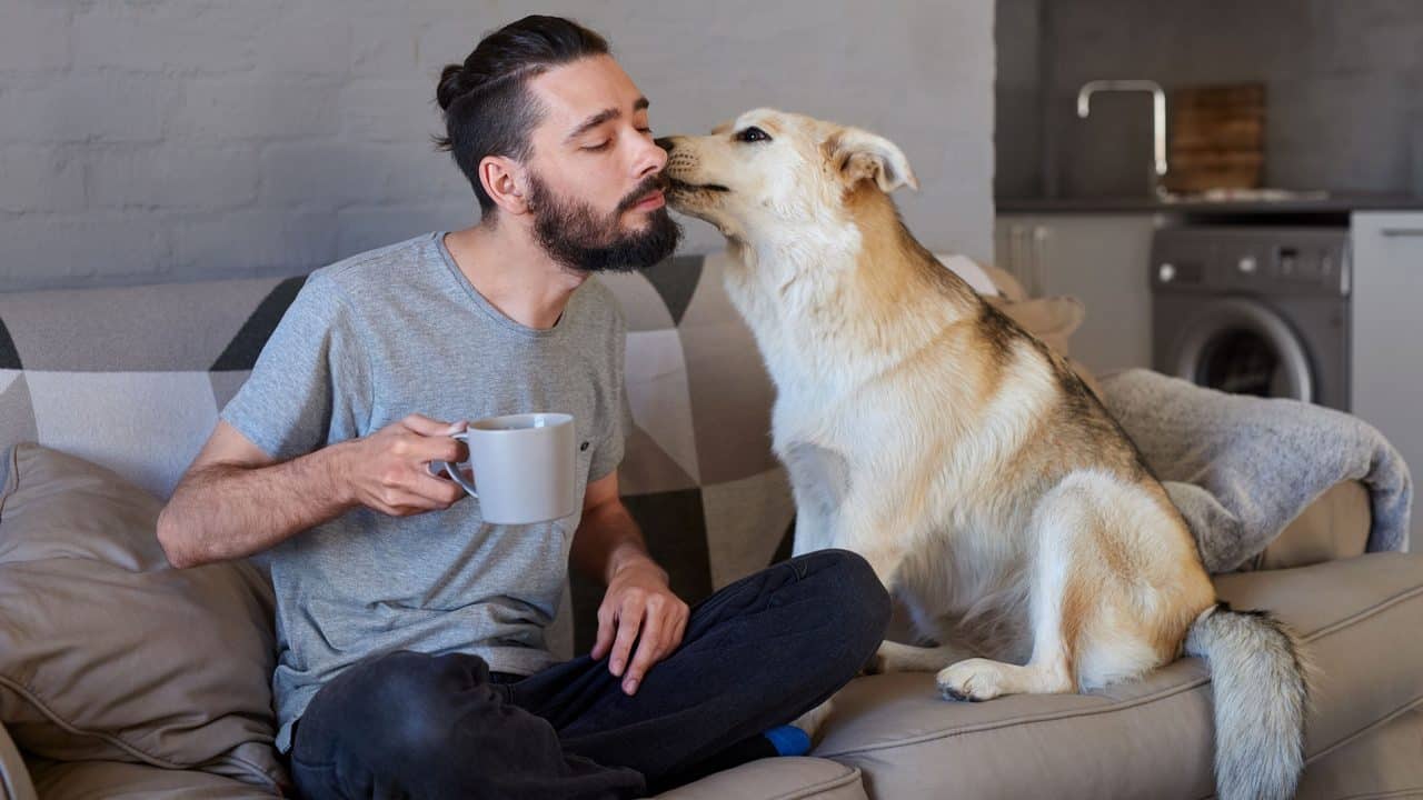 geneiaa kai mikrovia