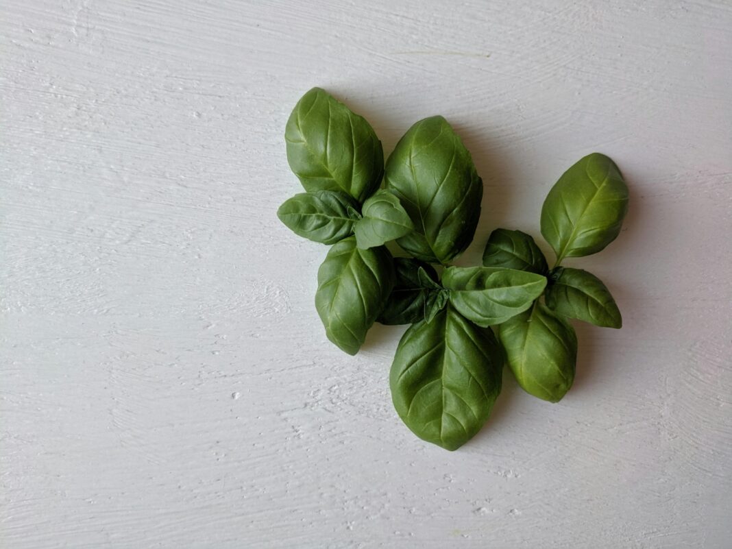 Βασιλικός: Φυσική Ανακούφιση από τα Αέρια και το Φούσκωμα