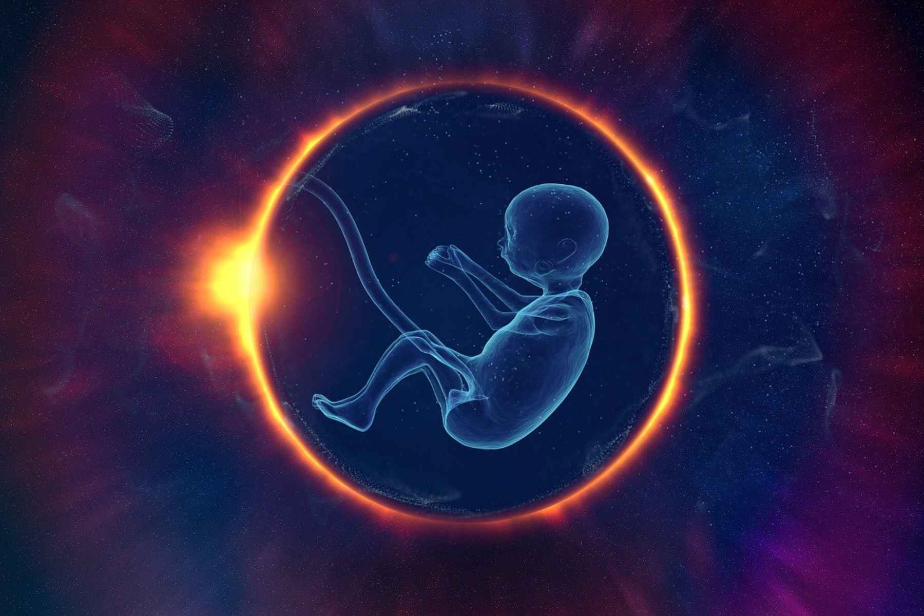Τεχνητή μήτρα: Επιστημονικό επίτευγμα, ελπίδα για τα πρόωρα βρέφη