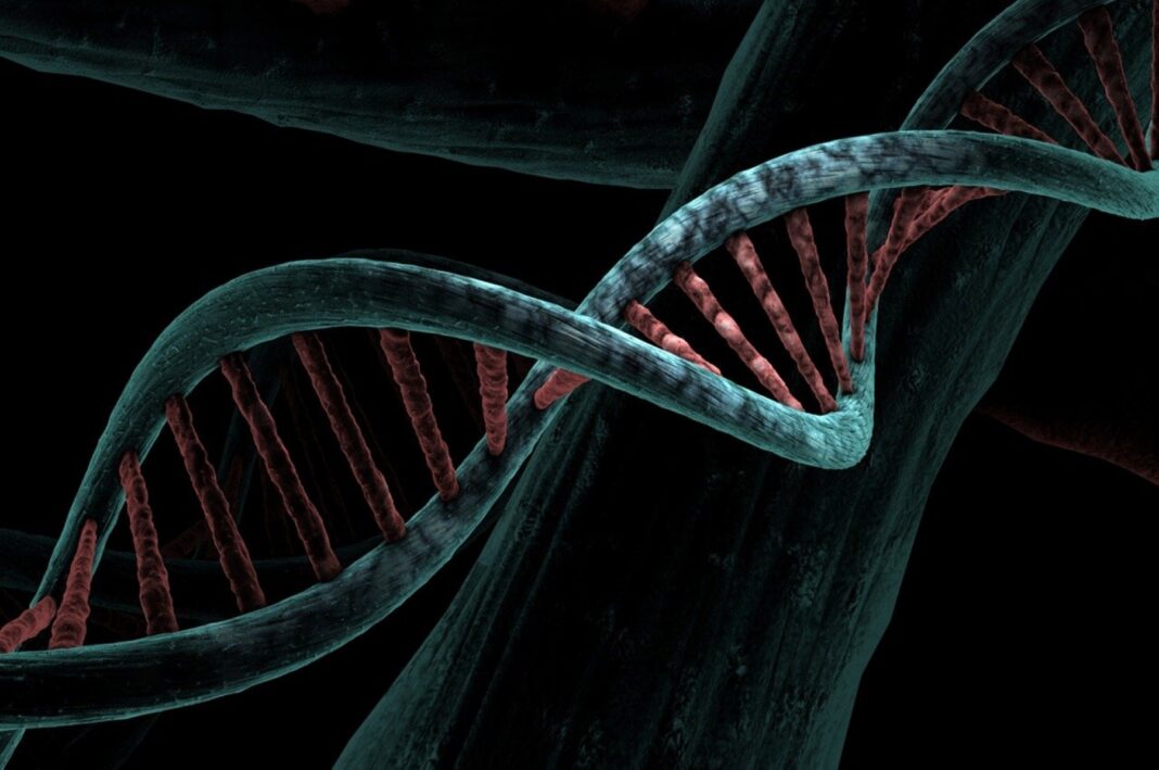Στρες: Μπορεί να Επηρεάσει το DNA μας;