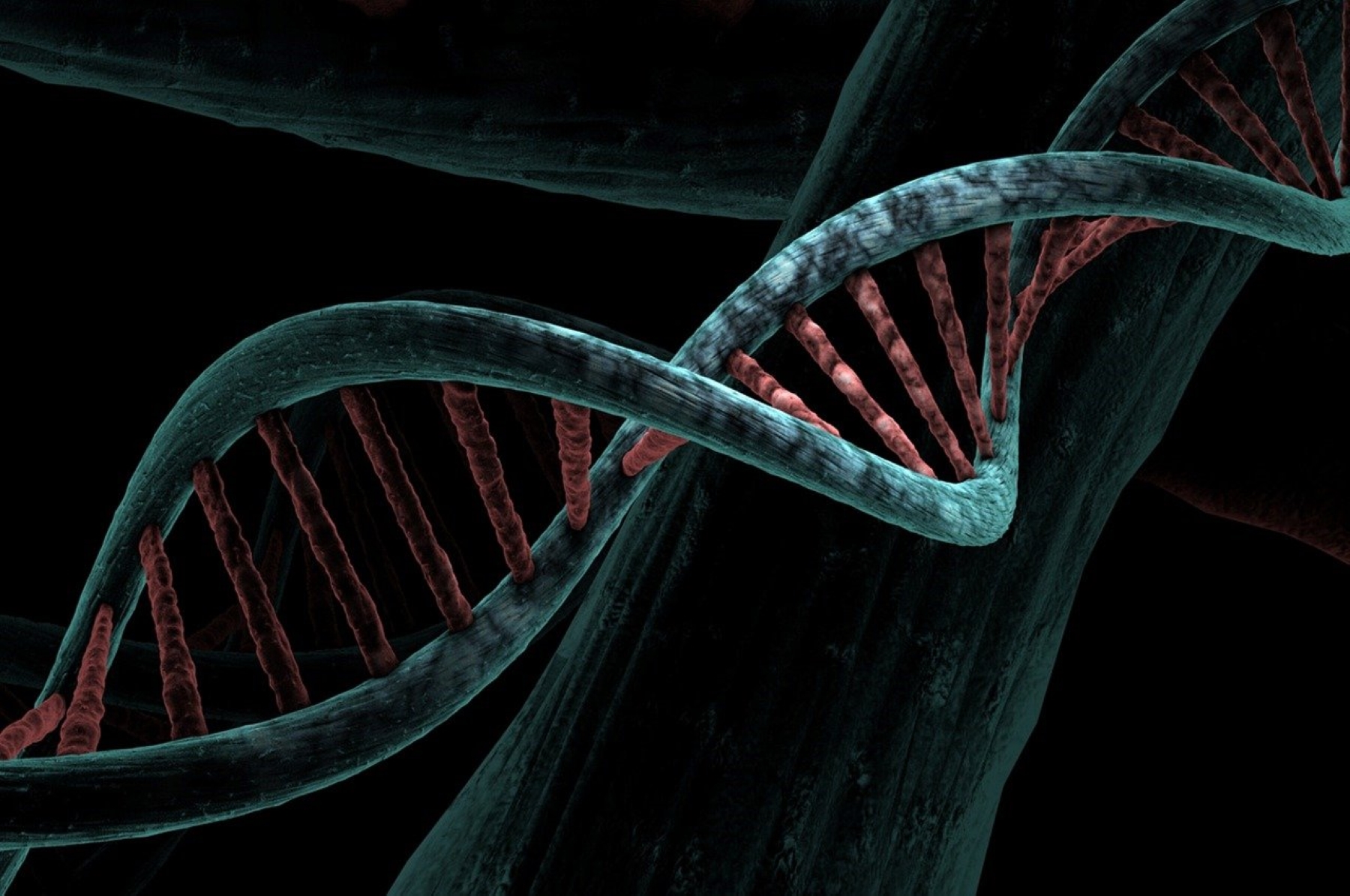 Στρες: Μπορεί να επηρεάσει το DNA μας;