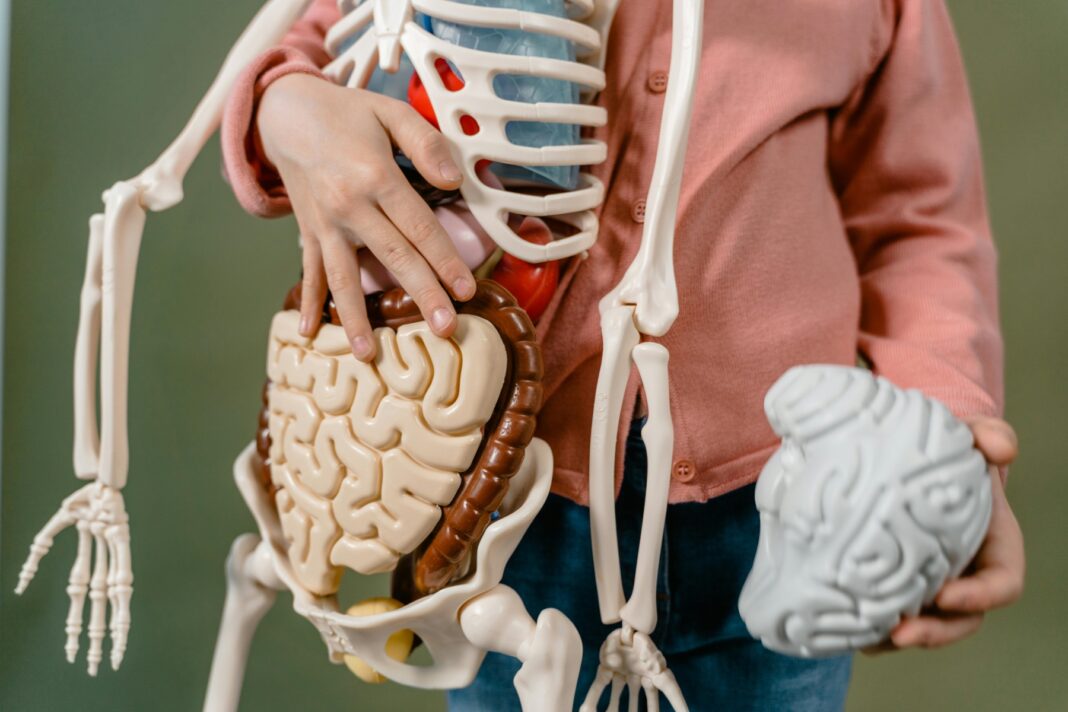 Mind-Body Nutrition : Όταν η Διατροφή Θρέφει και το Μυαλό