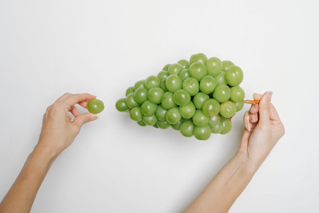 Σταφύλια: Ο φυσικός σύμμαχος για την προστασία της μνήμης σας