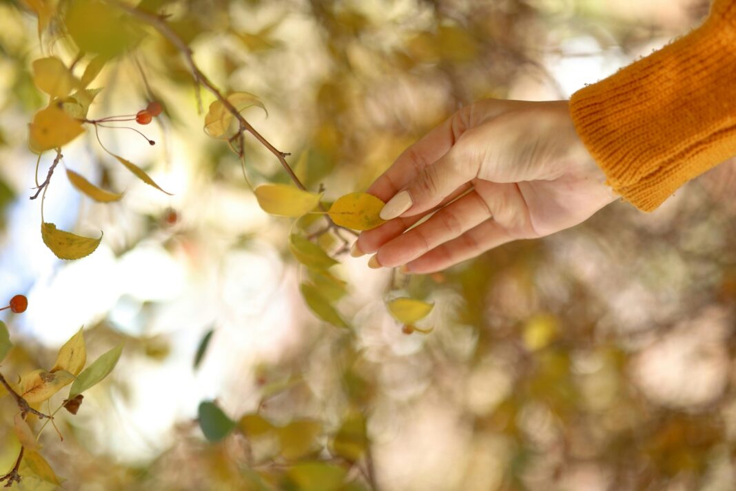 Butter Yellow Nails: Η Πιο Γλυκιά Τάση Μανικιούρ της Χρονιάς