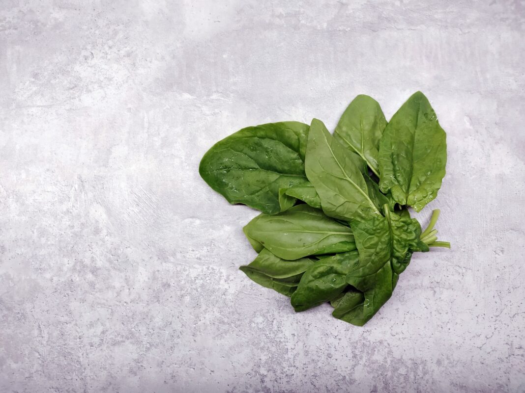 Mineral-Rich Nutrition: Το Μυστικό για Ενέργεια, Ισχυρό Ανοσοποιητικό και Μακροχρόνια Υγεία